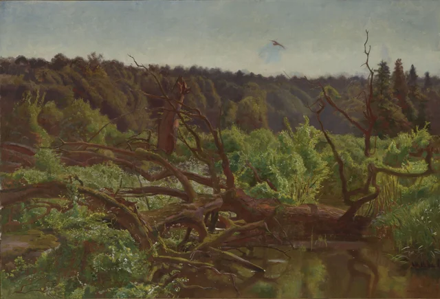 A Floresta virgem, árvores derrubadas pelo vento, Józef Chełmoński