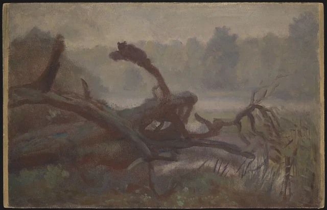 A Floresta virgem, árvores derrubadas pelo vento, esboço, Józef Chełmoński