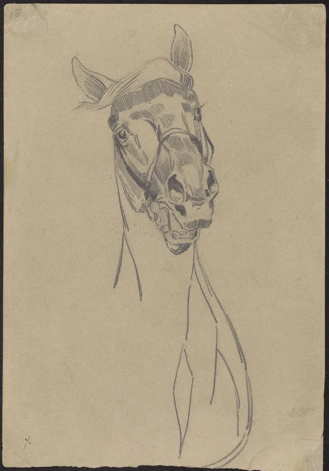 Estudos de cavalos, frente e verso