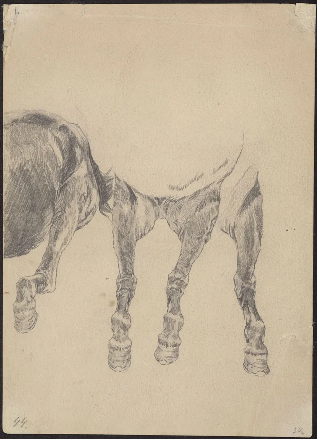 Estudos de patas de cavalo a galope