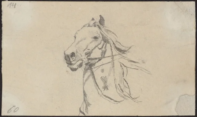 Estudo de cabeça de cavalo a galope