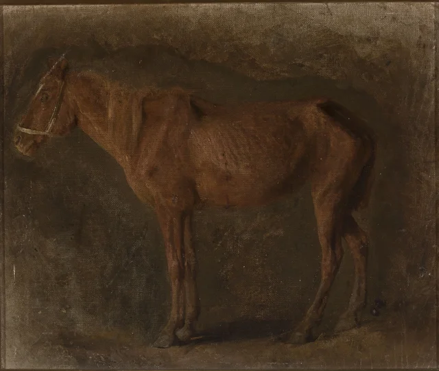 Estudo de cavalo
