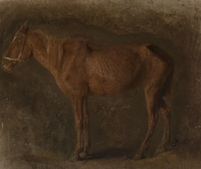 Estudio de caballo