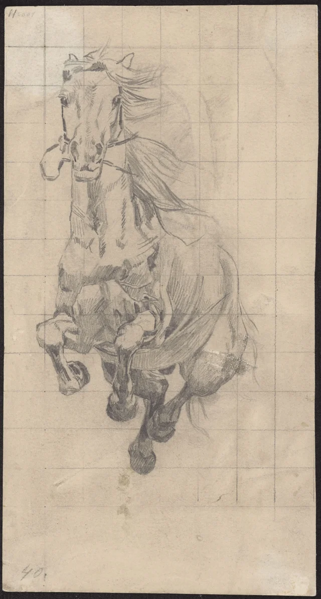 Estudo de cavalo a galope