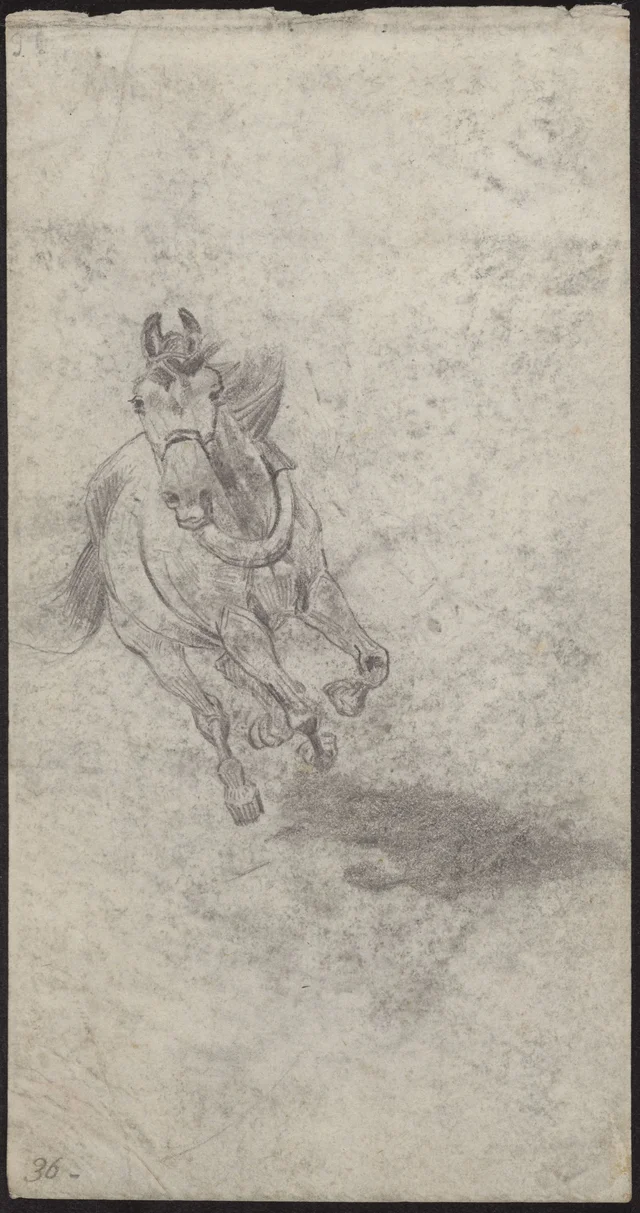 Estudo de cavalo a galope; no verso: cavalo atrelado parado