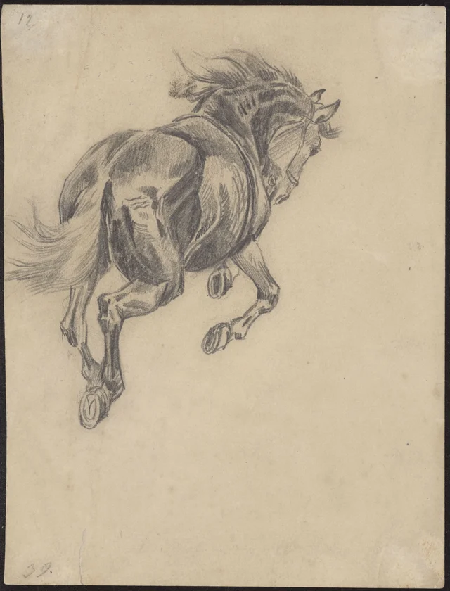 Estudo de um cavalo em movimento, atrelado