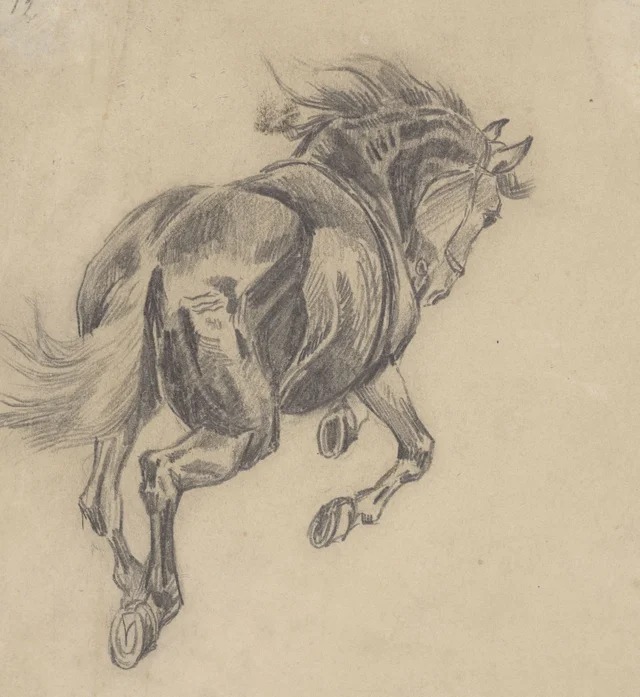 Estudio de un caballo en movimiento, enganchado