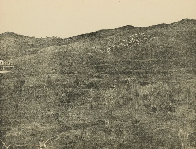 Dalat, troupeaux de la ferme de Dankia au pâturage, Jules-Gustave Besson