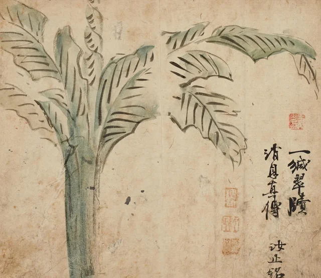 菜蔬圖と芭蕉圖 第3図