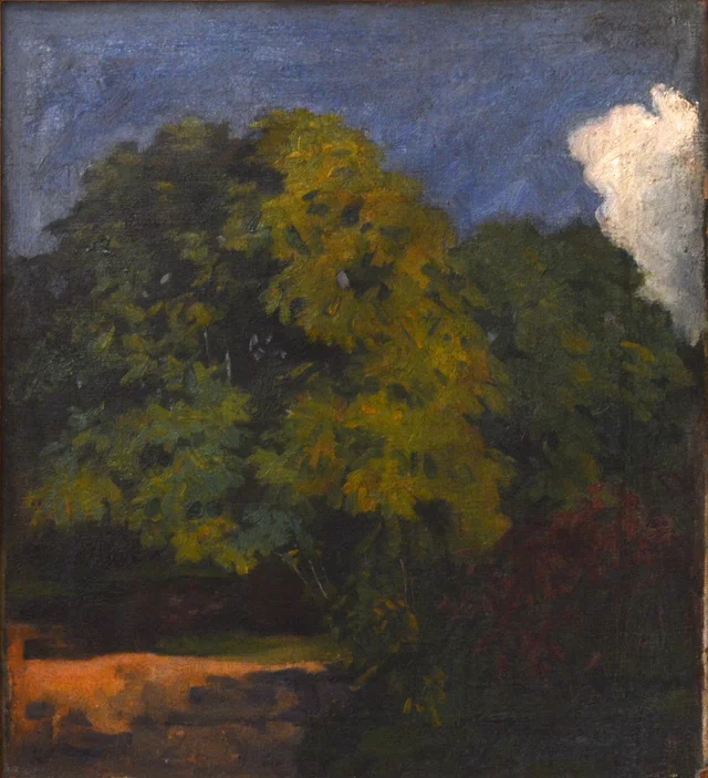 Castanheiros de Nagybánya