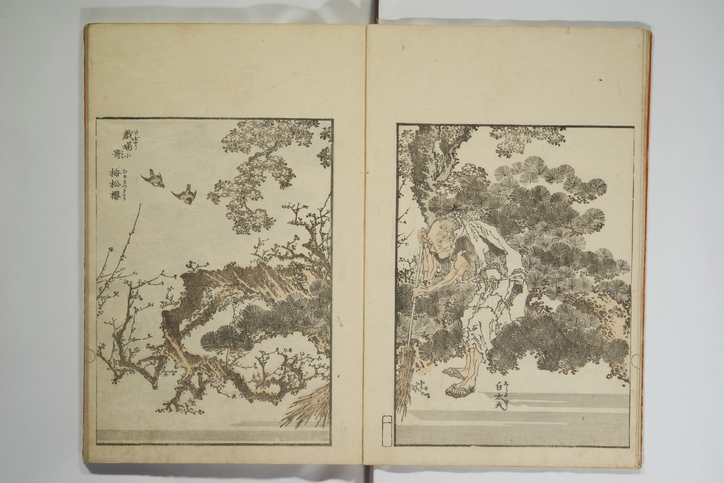 Picture Album Transmitting the Spirit: The Hokusai Drawing Style (Denshin gafu Hokusai gashiki), Katsushika Hokusai