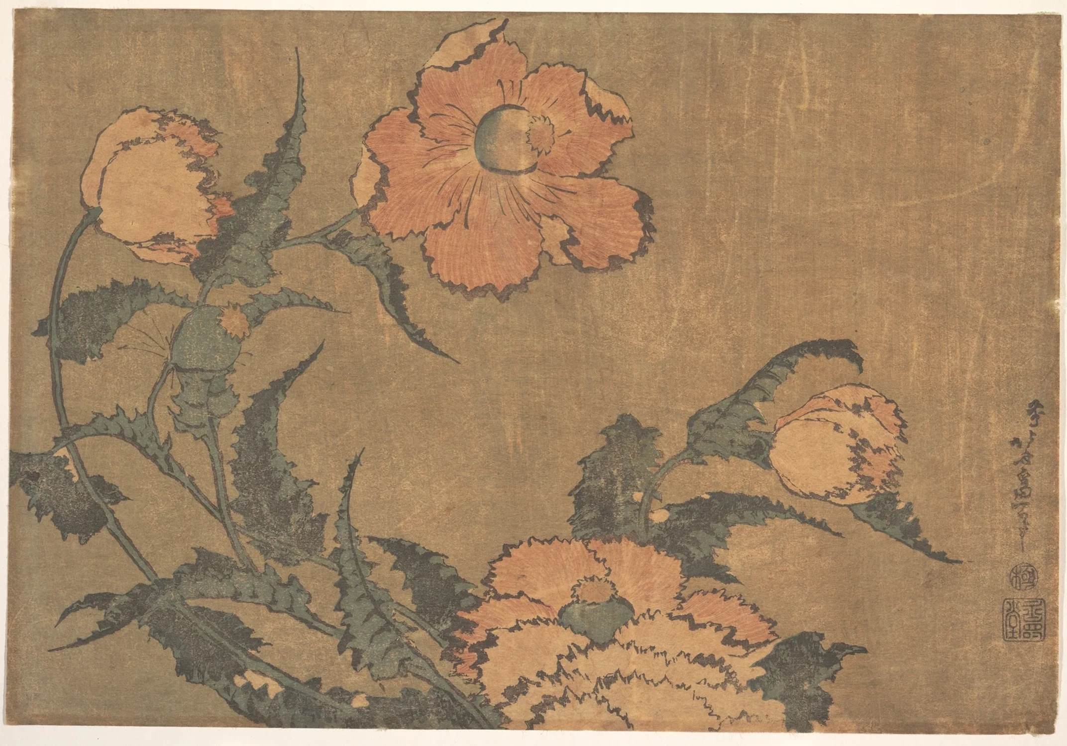 Poppies in the Wind, Katsushika Hokusai