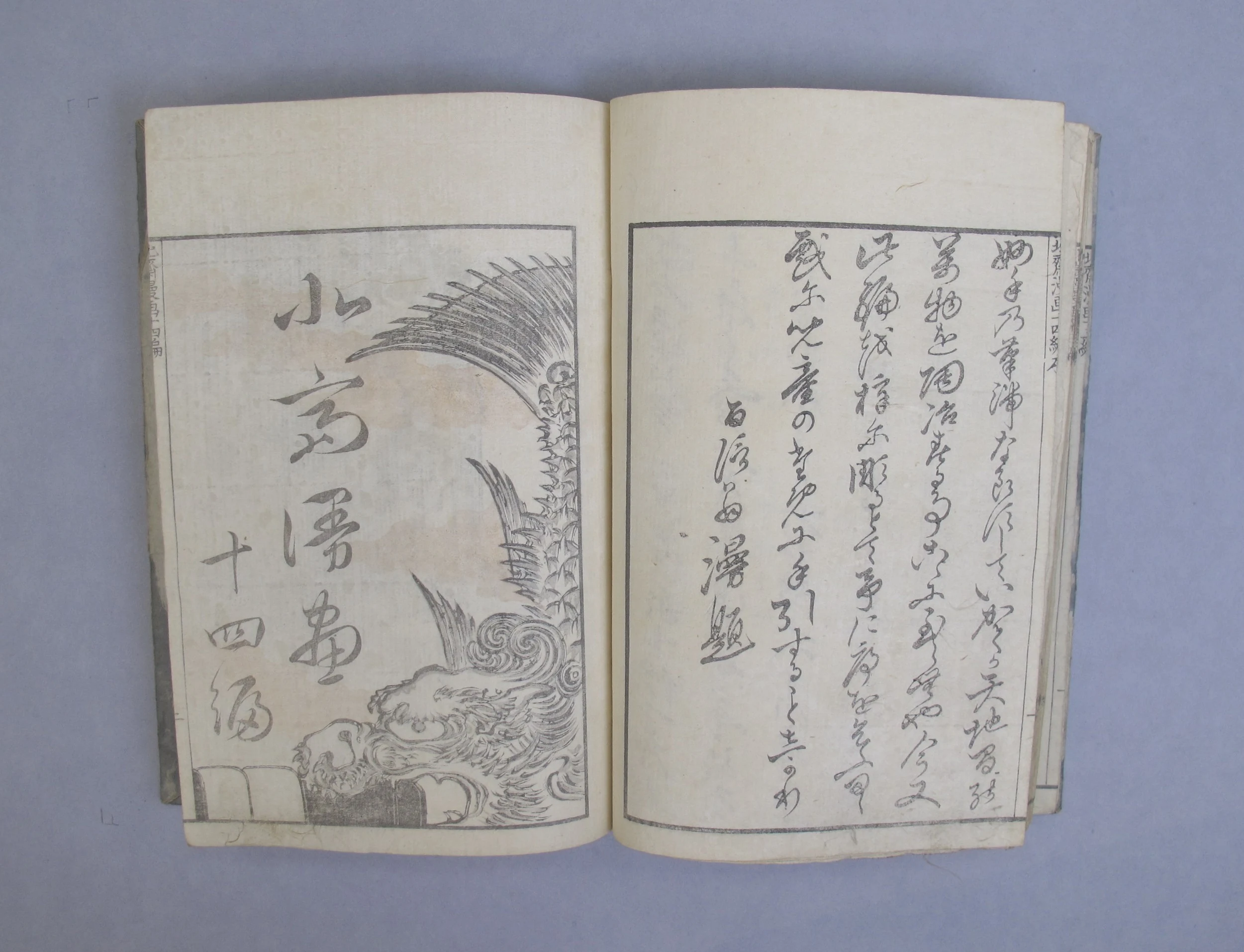 Transmitting the Spirit, Revealing the Form of Things: Hokusai Sketchbooks, volume 14 (Denshin kaishu: Hokusai manga, jūyonpen), Katsushika Hokusai