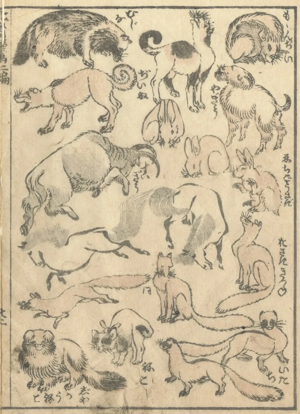 Animal page from The Manga, Katsushika Hokusai