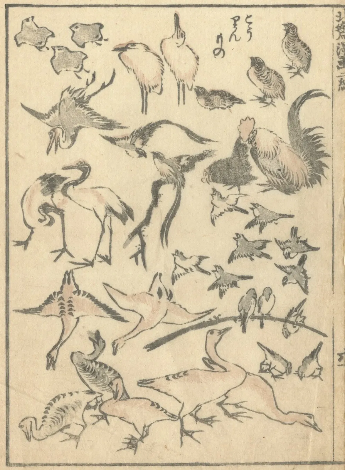 Page d'oiseaux du Manga, Katsushika Hokusai