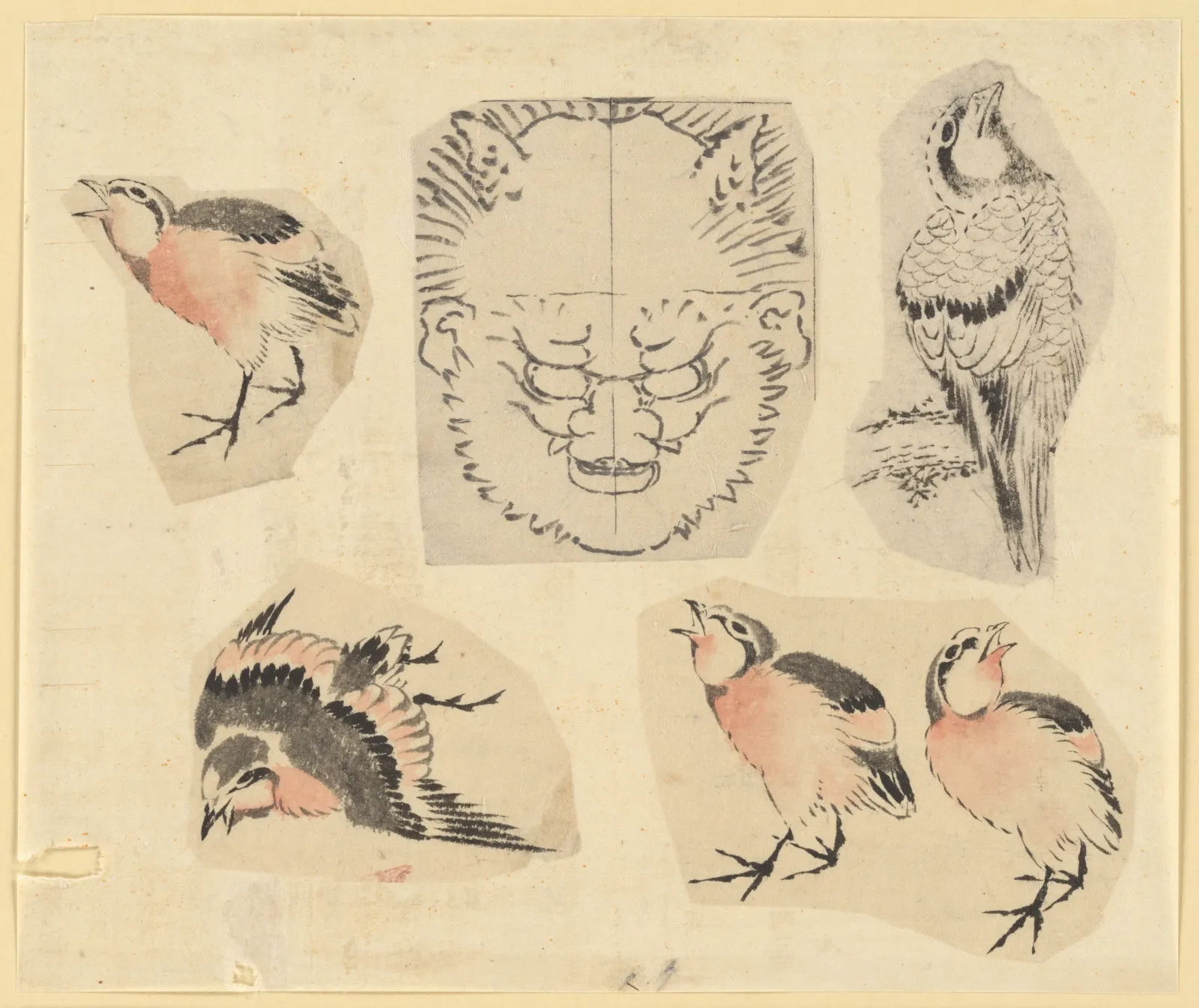 Four sketches of birds and one design for a grotesque mask, mounted together, Katsushika Hokusai