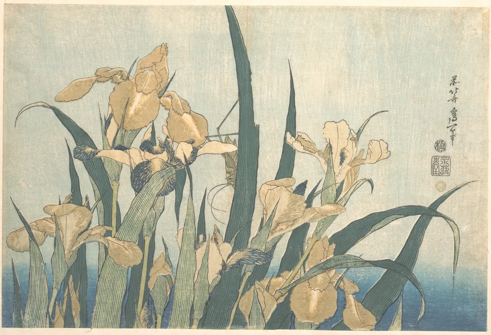 Grasshopper and Iris, Katsushika Hokusai