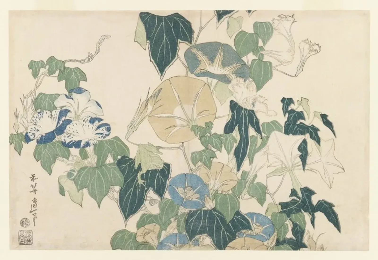 Morning Glories in Flowers and Buds, Katsushika Hokusai