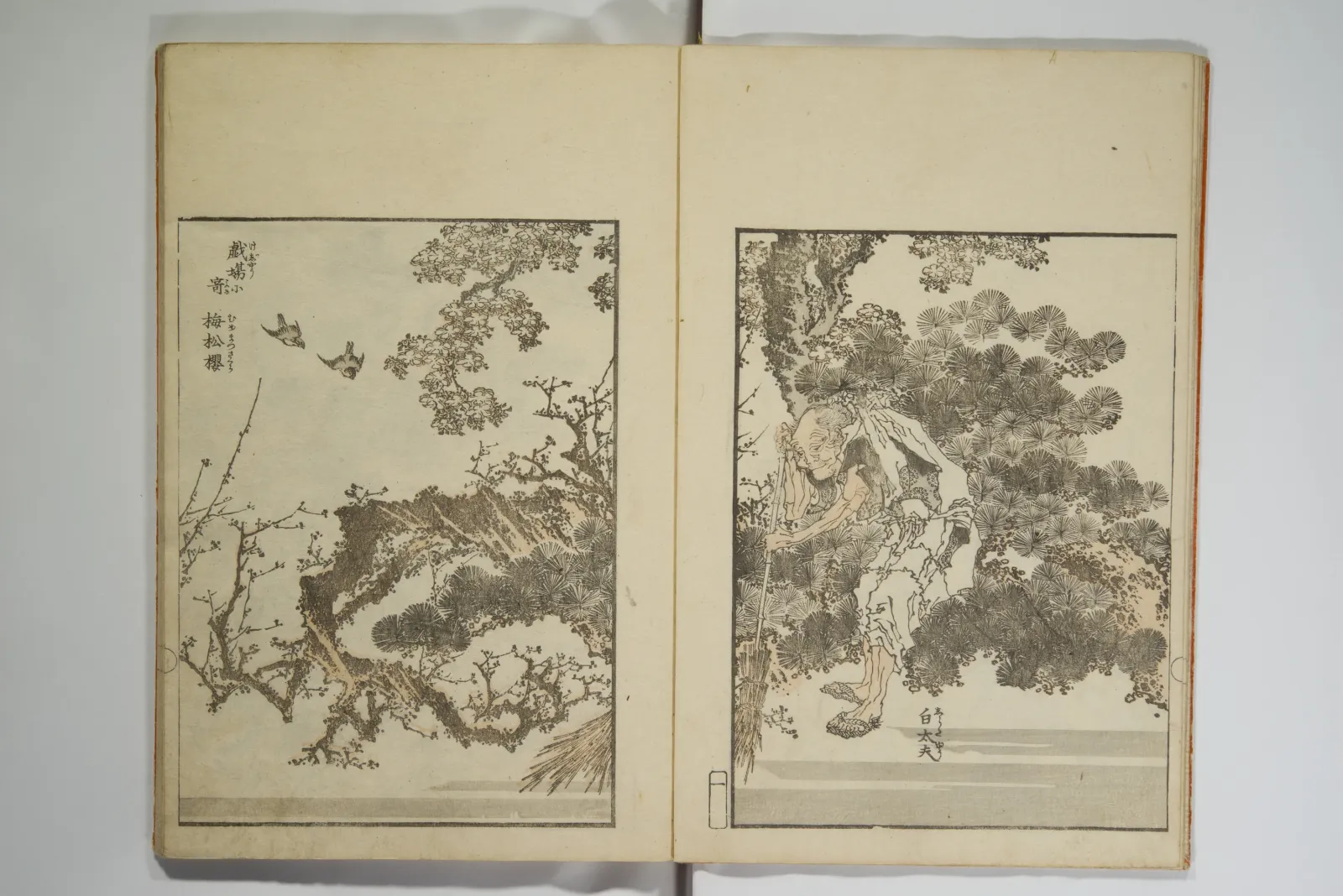 Picture Album Transmitting the Spirit: The Hokusai Drawing Style, Katsushika Hokusai