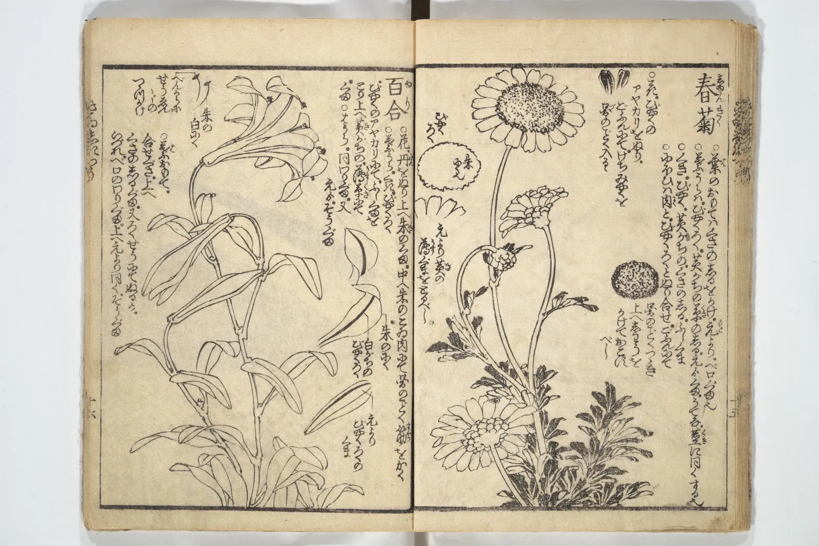 Picture Book on the Use of Coloring, first volume (Ehon saishikitsū shohen) 繪本彩色通 初編, Katsushika Hokusai