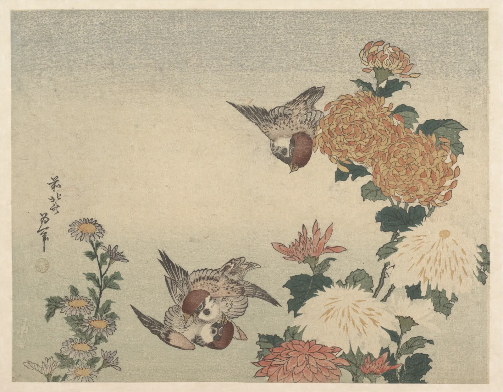 Sparrows and Chrysanthemums, Katsushika Hokusai