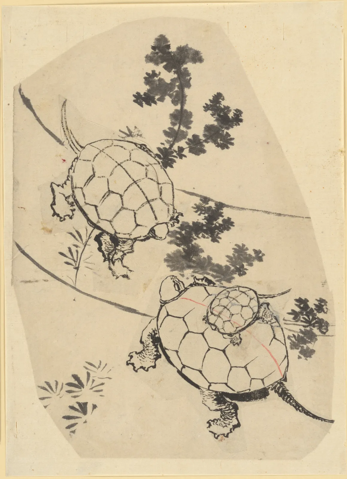 Turtles, Katsushika Hokusai