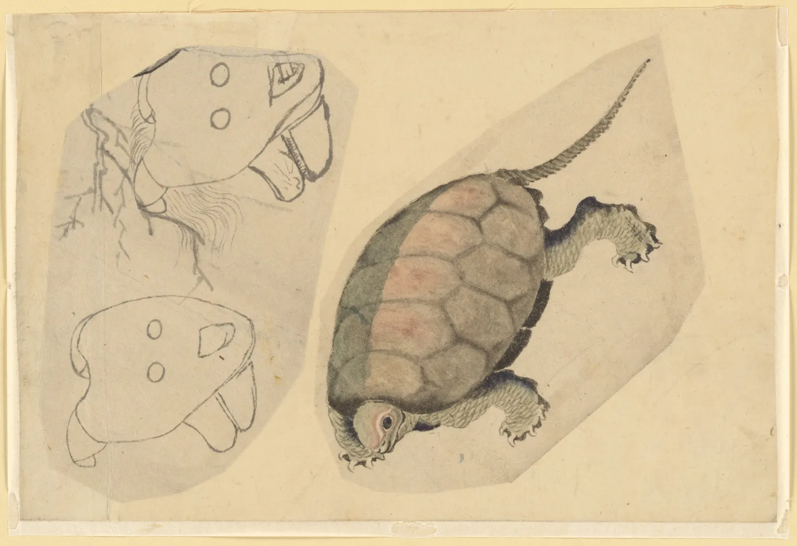 Two Sketches: One of a Turtle, the Other of Two Unidentified Objects, Katsushika Hokusai