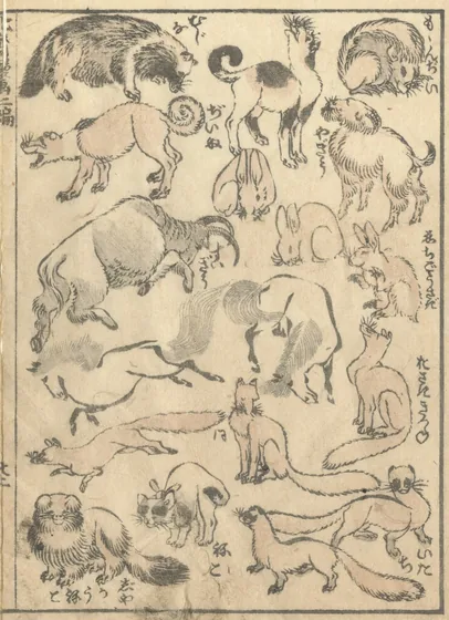 Animal page from The Manga