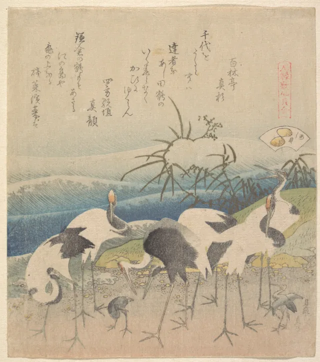 元禄歌仙貝合 あし貝