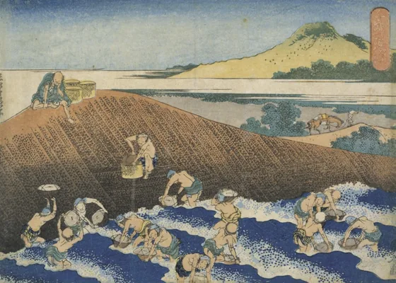 Basket-fishing in the Kinu River