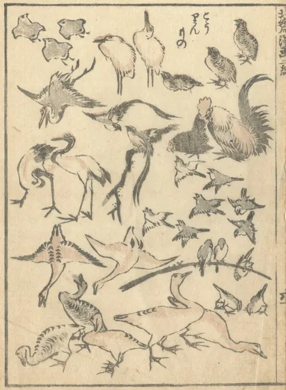 Bird page from The Manga