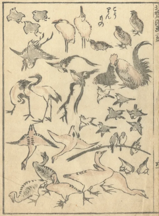 Bird page from The Manga, Katsushika Hokusai