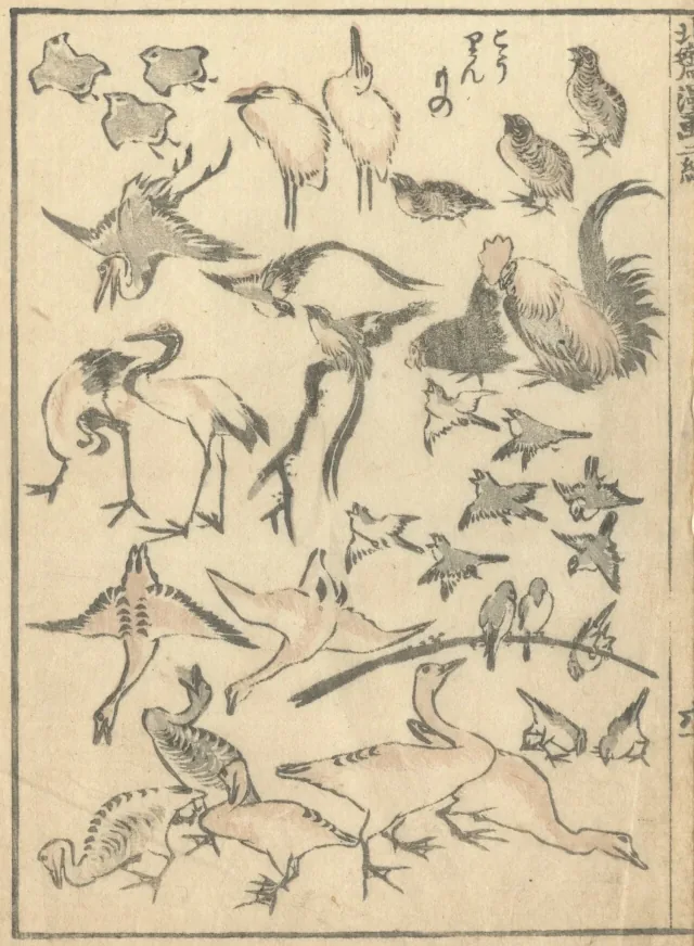 漫画の鳥の頁