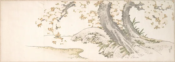 Blossoming Cherry Trees by a Stream