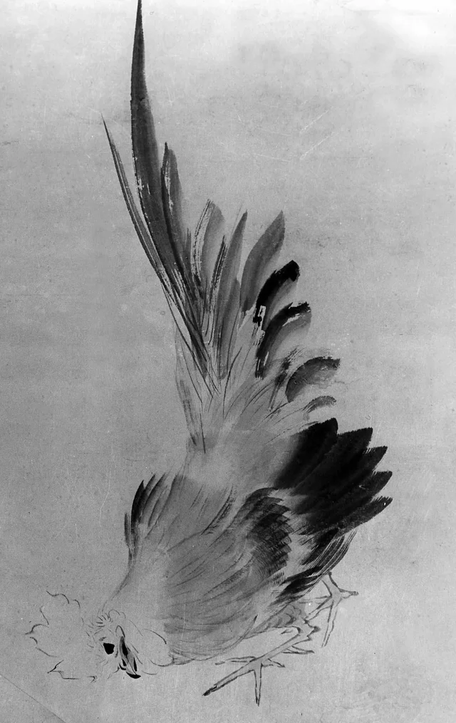 雄鶏