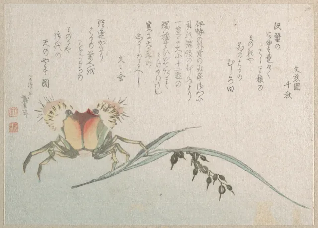 蟹と稲