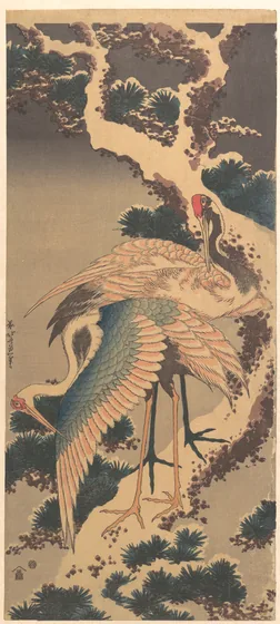 Cranes on Branch of Snow-covered Pine