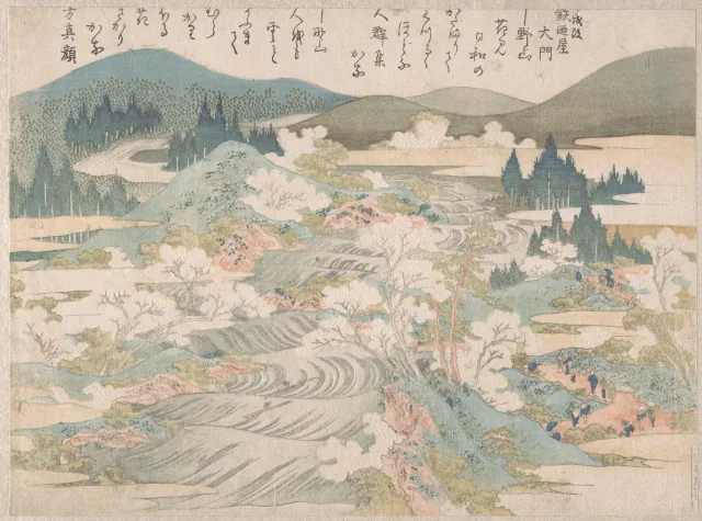 吉野川沿いの桜