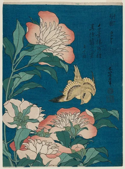 Peonies and Canary