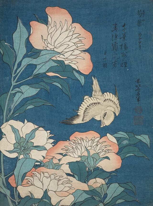 Peonies and Canary, Katsushika Hokusai