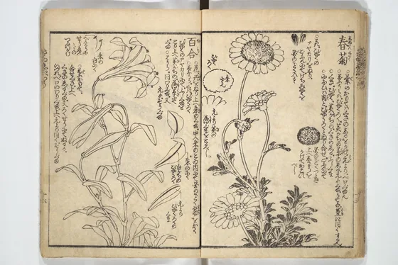 Picture Book on the Use of Coloring, first volume (Ehon saishikitsū shohen) 繪本彩色通 初編