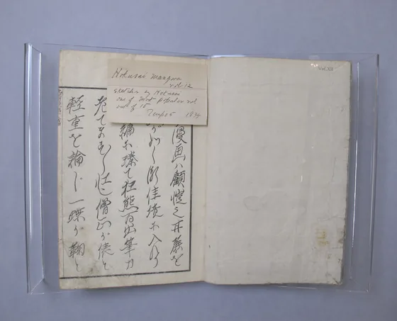 Random Sketches by Hokusai, Volume 12