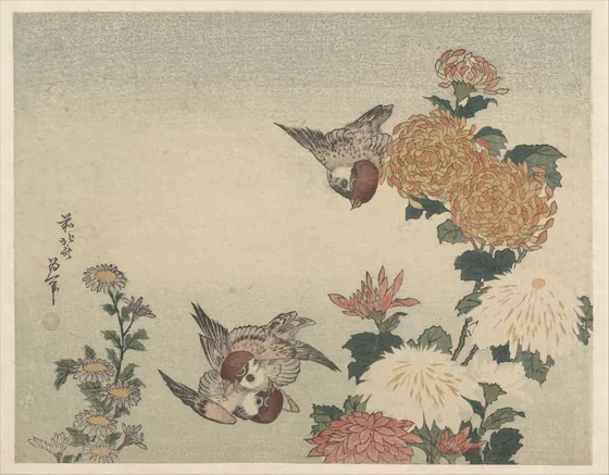 Sparrows and Chrysanthemums