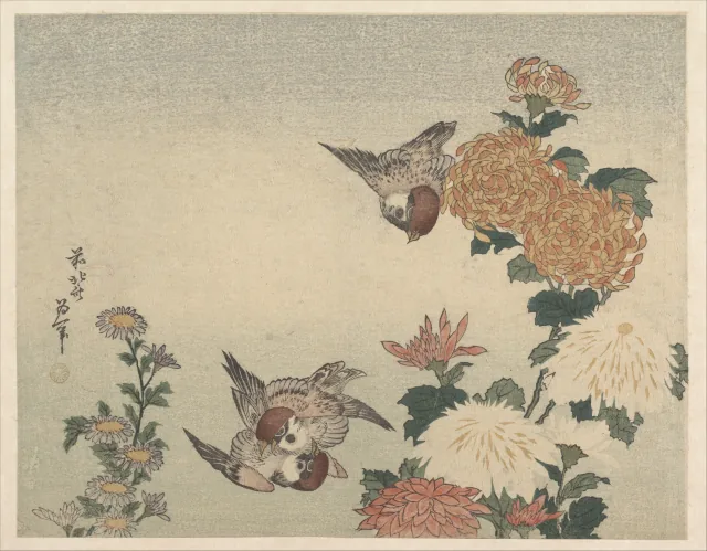 雀と菊