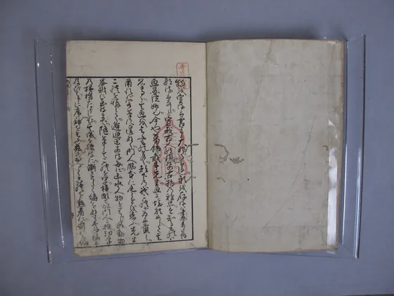 Transmitting the Spirit, Revealing the Form of Things: Hokusai Sketchbooks, volume 4 (Denshin kaishu: Hokusai manga, yonhen)