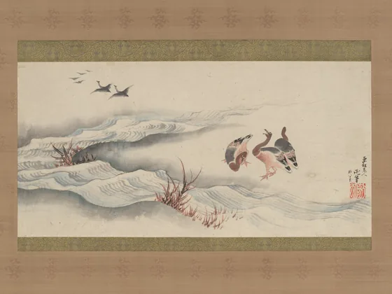 Wild Geese and Water