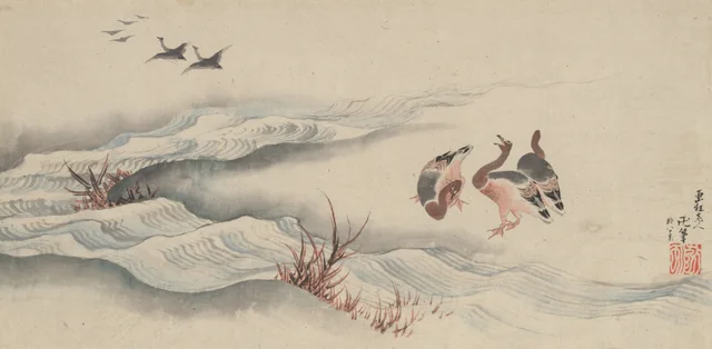 雁と水
