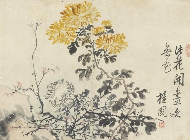 菊花図