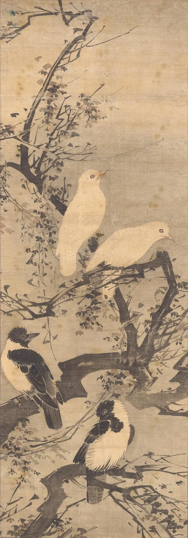 翎毛圖 第2図