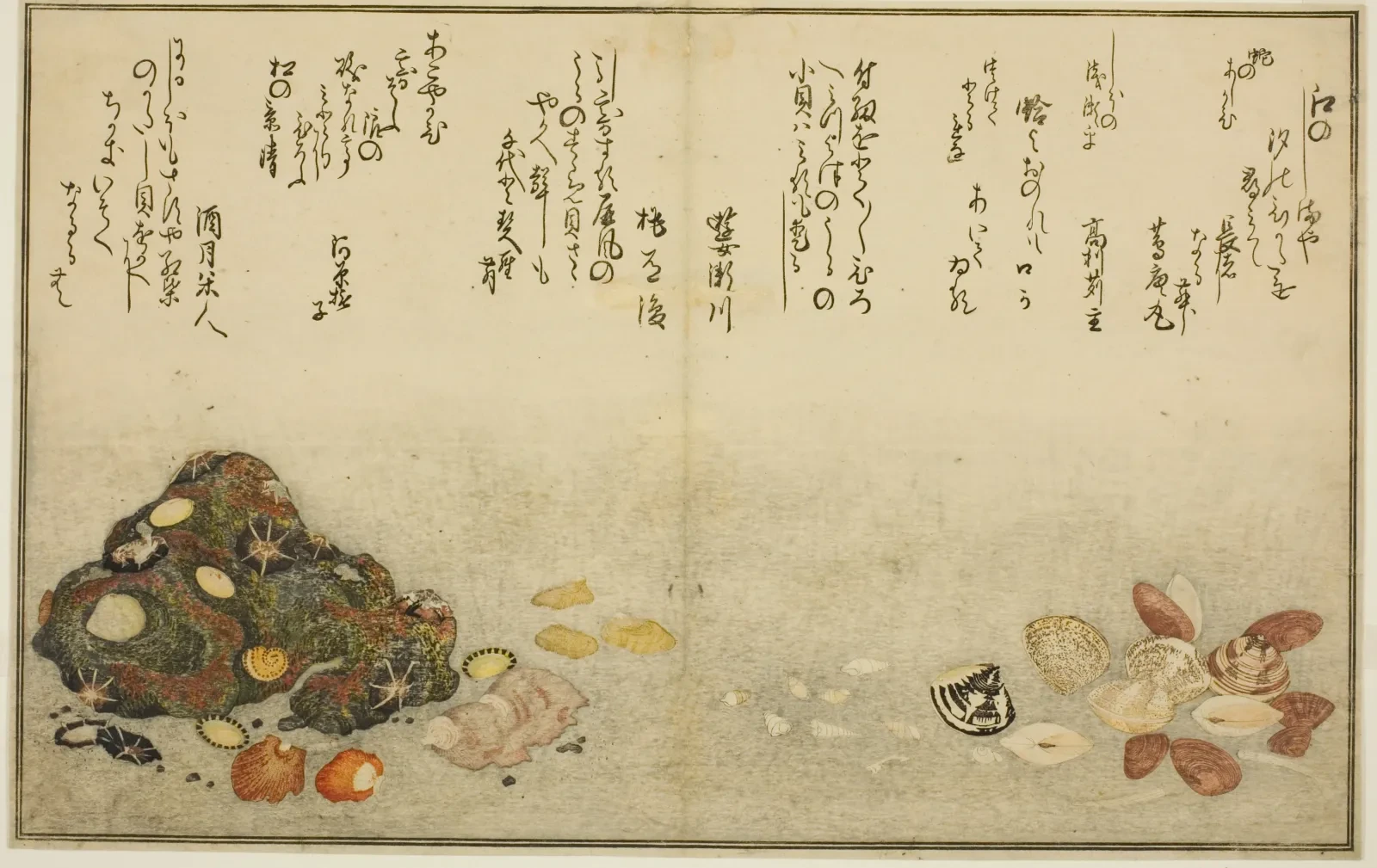 Ashi-gai, hamaguri, ko-gai, suzume-gai, akoya-gai et katashi-gai, du livre illustré Cadeaux de la marée basse, Kitagawa Utamaro
